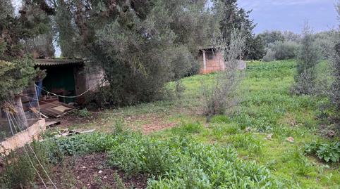 Foto 5 de Finca rústica en venda a Inca, Ciutat d'Alcúdia, Illes Balears
