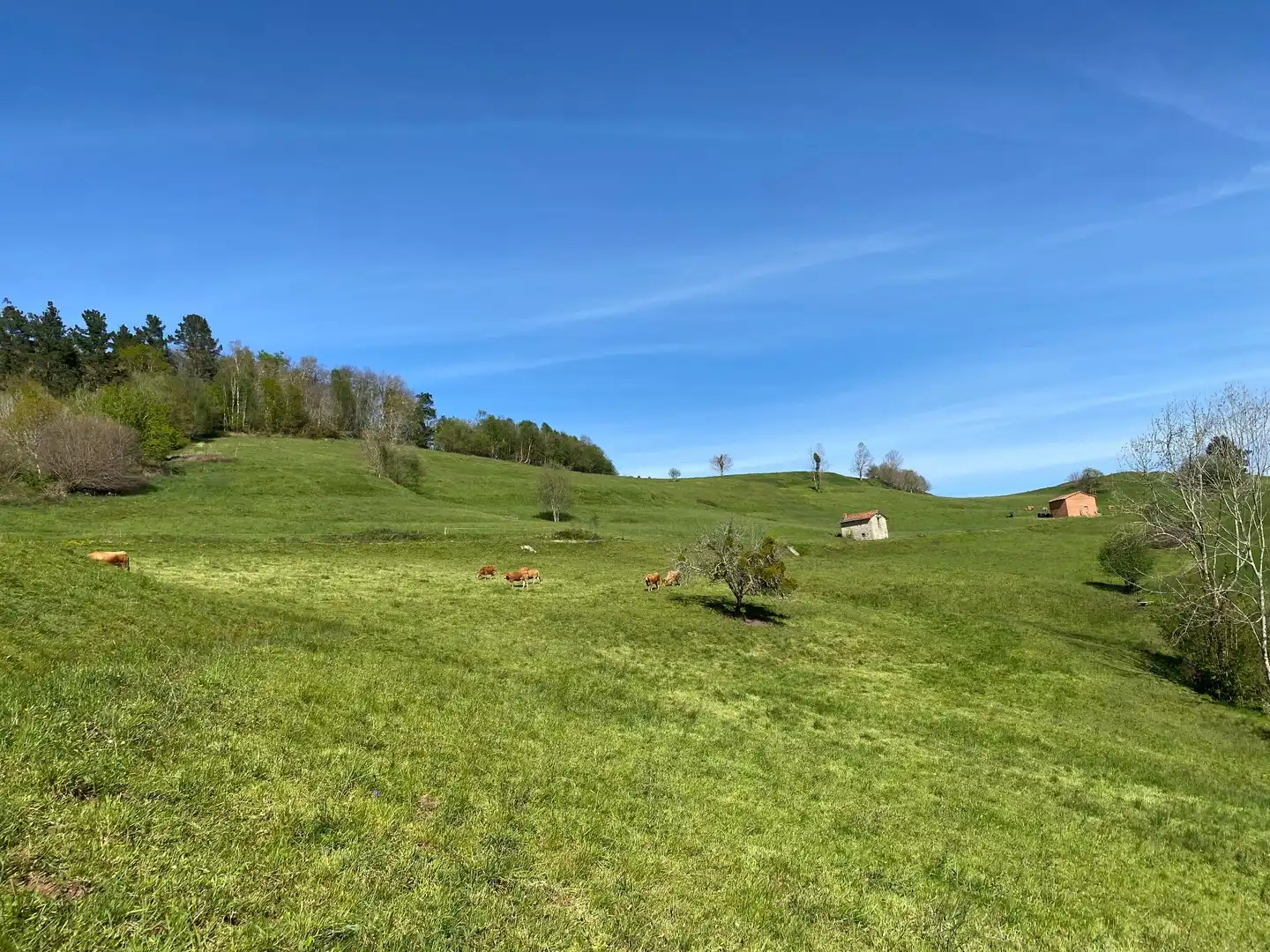 Residential zum Verkauf in Onís