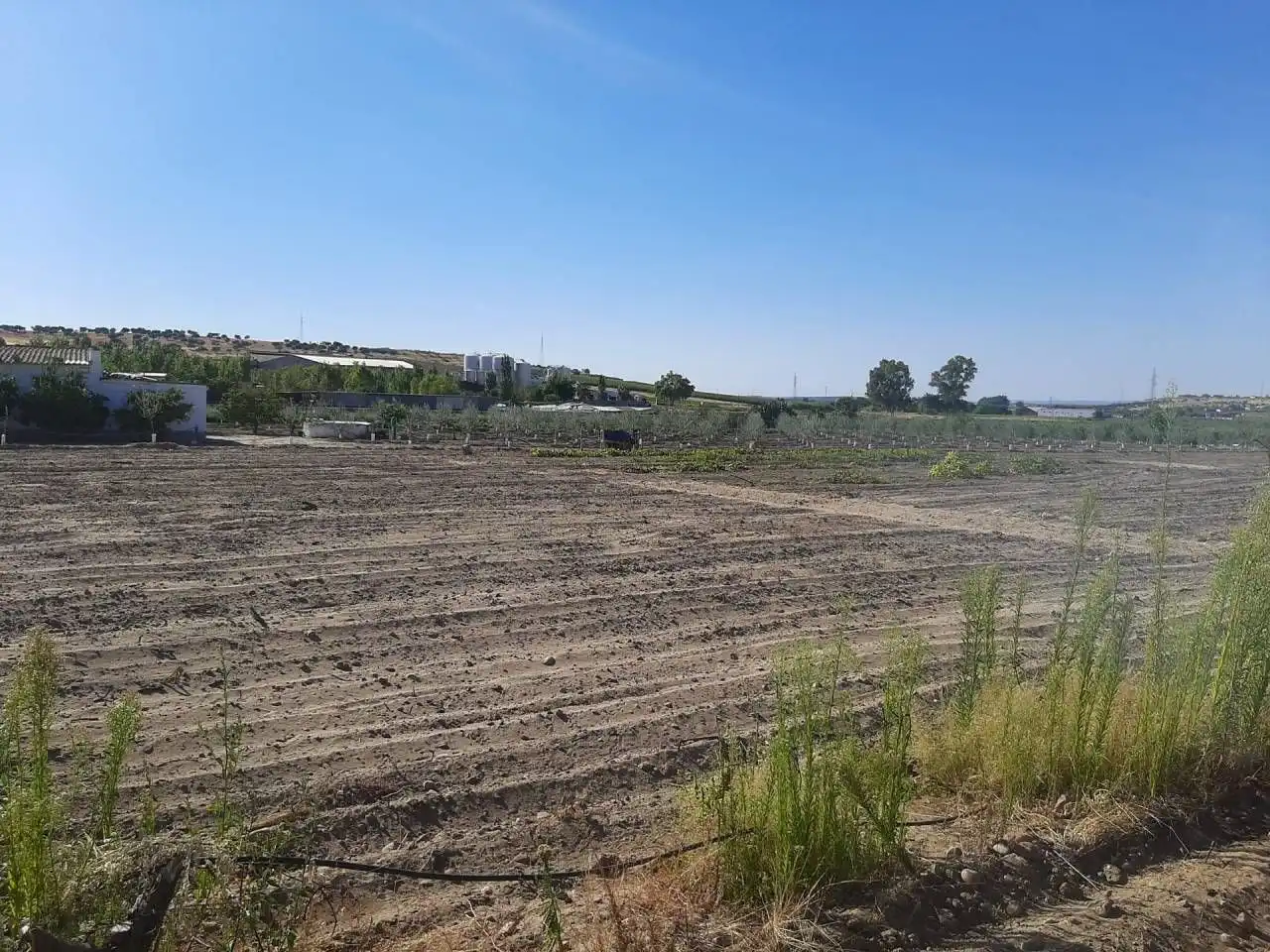 Casa o chalet en venta en Calamonte
