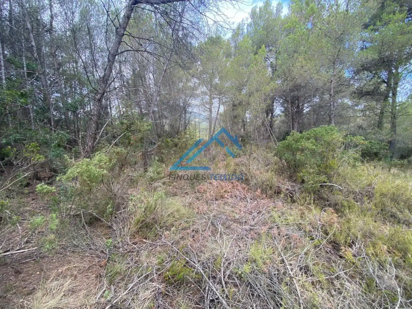 Residential land for sale in Urbanizacion Urbanizacion MOIXETA XLII, 15, puerta C, imagen 11