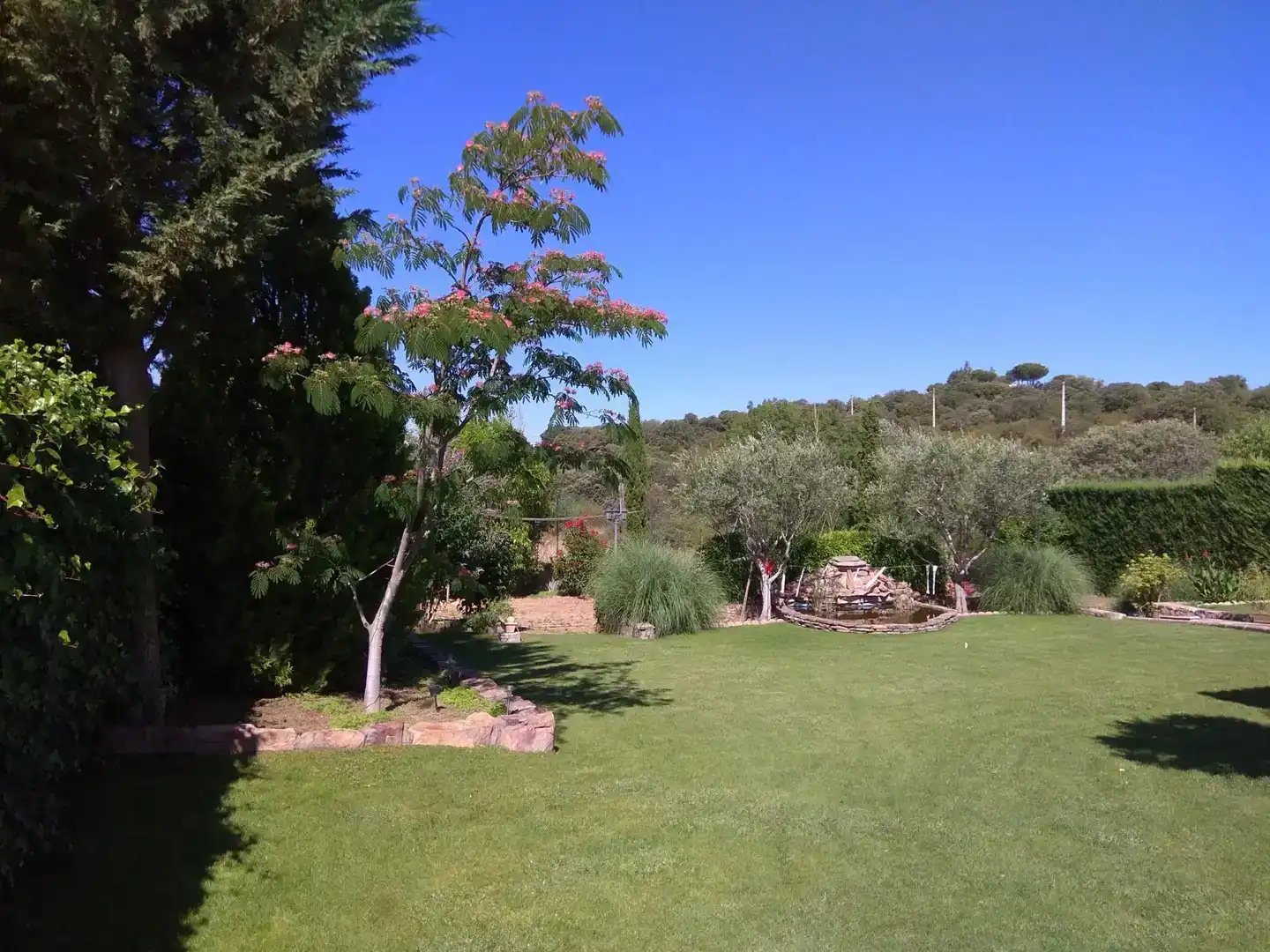 Jardí de Casa o xalet en venda en San Cebrián de Castro amb Jardí privat, Traster i Moblat