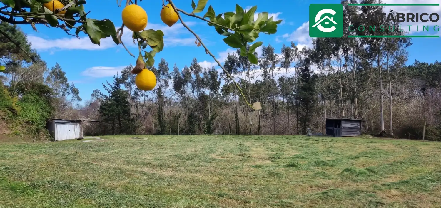 Casa o chalet en venta en Coaña con Trastero y Amueblado