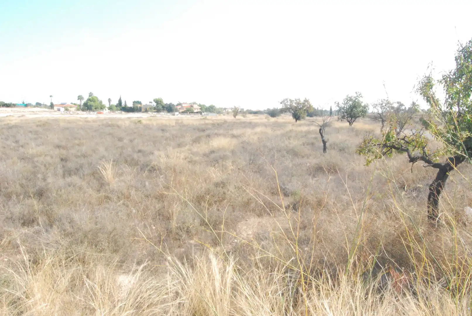 Rural land for sale in Villamontes - Boqueres