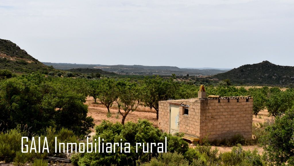 Finca rústica en venda en Maella