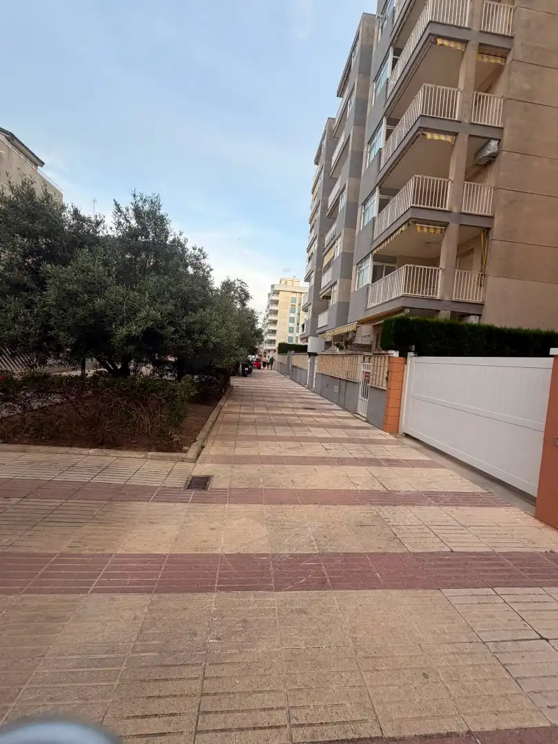 Appartement compact avec terrasse à louer à Carrer Llaurí 10A, imagen 21