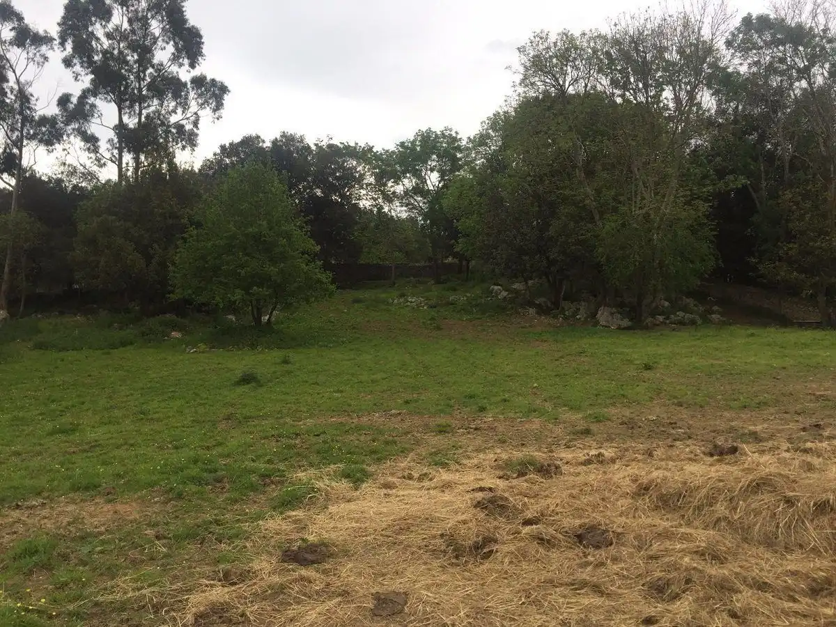 Terreno residencial en venta en Bricia, imagen 4