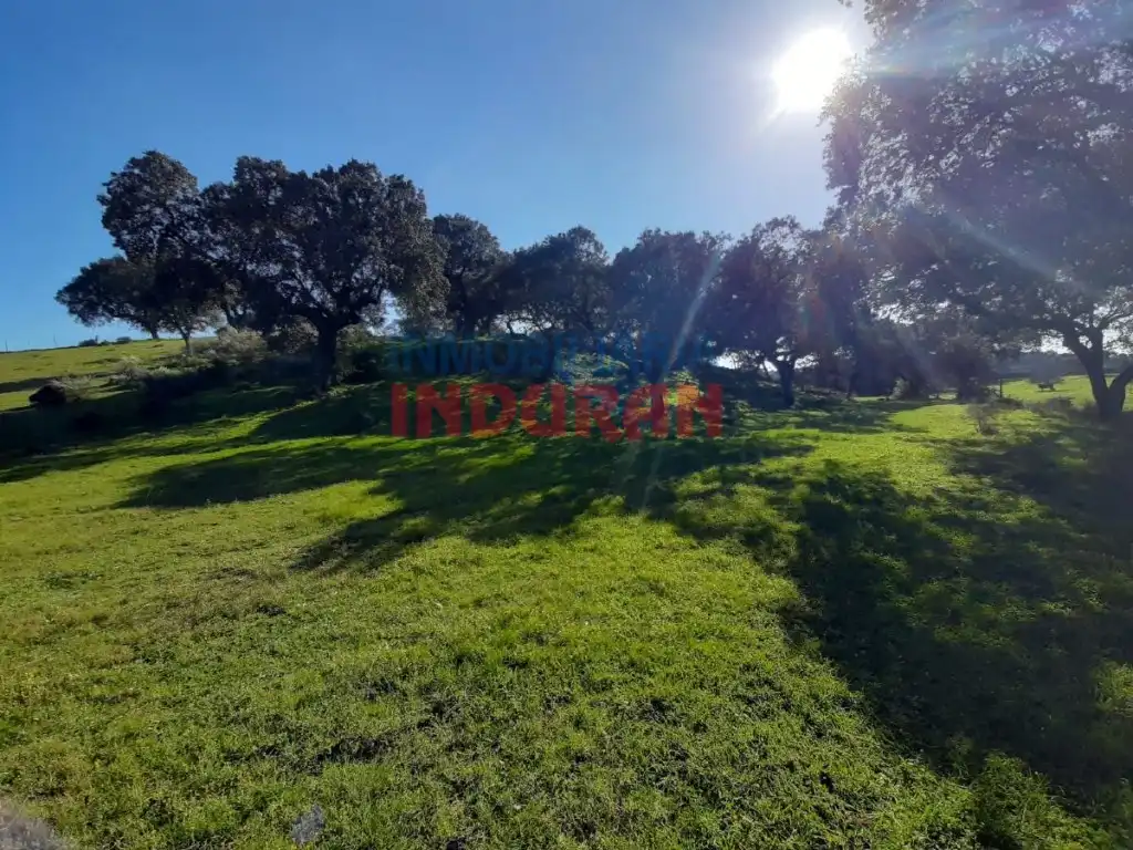 Casa en venta en Millanes, imagen 7