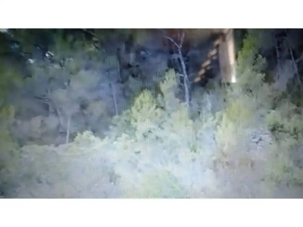 Terreny rústic en venda a Sant Antoni de Portmany, imagen 5
