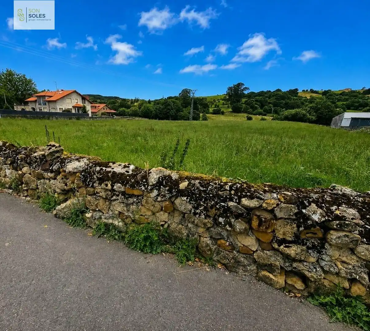 Land for sale in Reocín