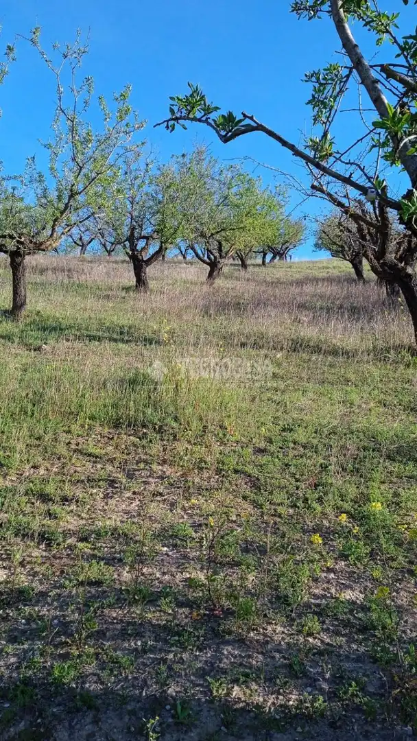 Terreny en venda en Gójar
