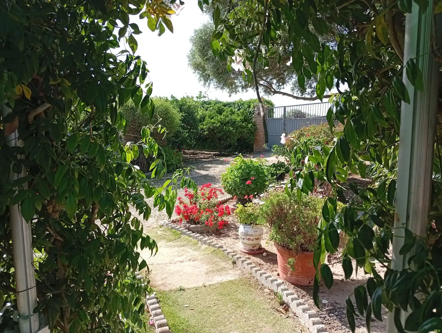 Jardín de Finca rústica de alquiler en Medina Sidonia con Jardín privado, Terraza y Amueblado