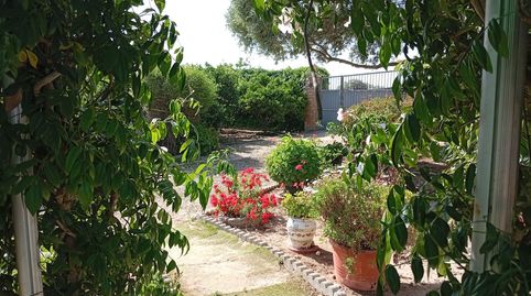 Foto 2 de Finca rústica de alquiler en Medina Sidonia, Cádiz