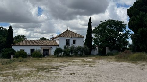 Foto 4 von Gebäude zum Verkauf in Carretera la Puebla de Cazalla, 5, Marchena, Sevilla