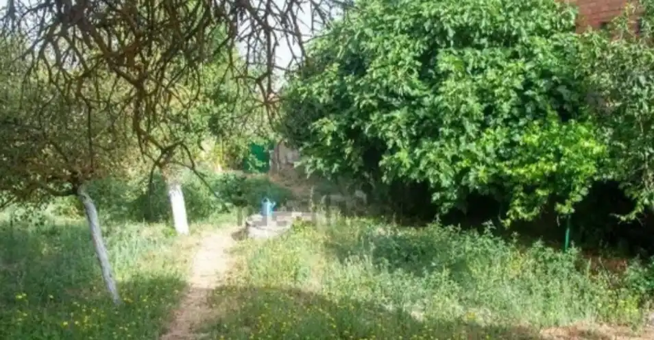 Casa amb jardí en venda a Zona Sur - Barrio Cortes, imagen 17