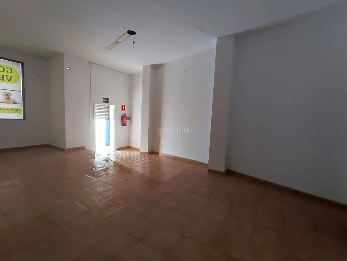 Gewerbefläche zur Miete in Avinguda del Camí Nou 27, imagen 2