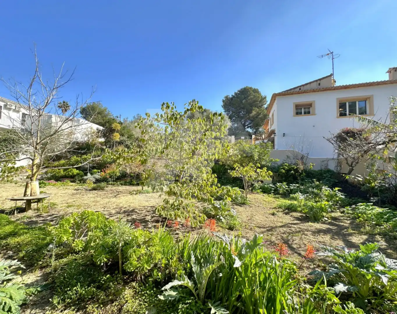 Detached house with terrace for sale in La Viña - Montemar - San Jaime, imagen 47