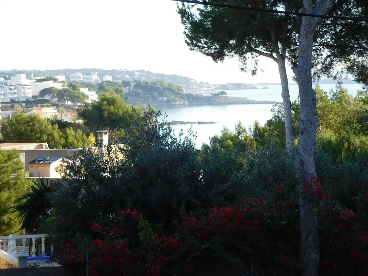 Garten von Residential zum Verkauf in Calvià