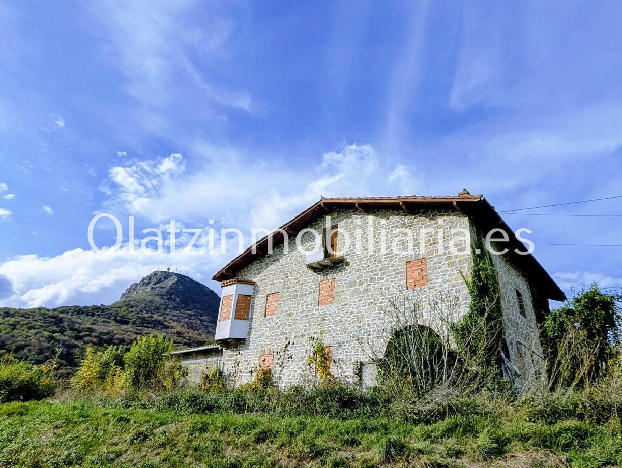 Exterior view of House or chalet for sale in Urduña / Orduña