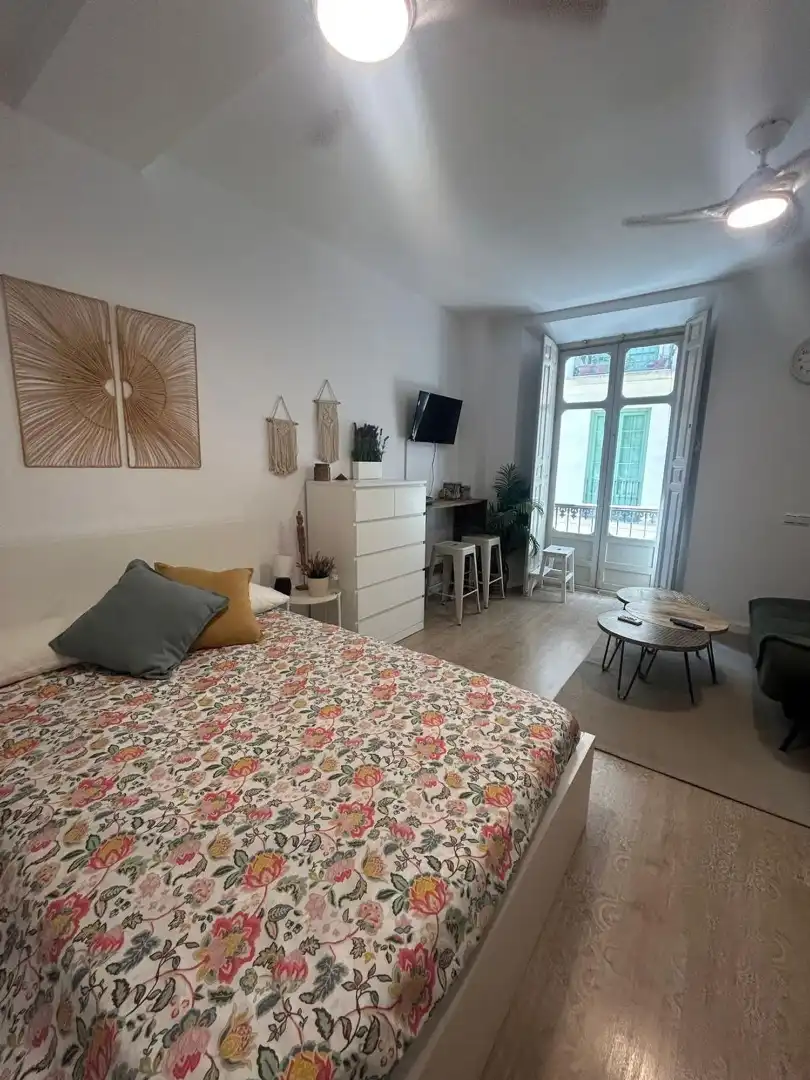 Dormitori de Estudi en venda en Málaga amb Aire condicionat i Moblat