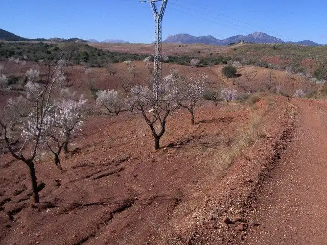 Terreno rustico in vendita a Pedanías Norte, imagen 5
