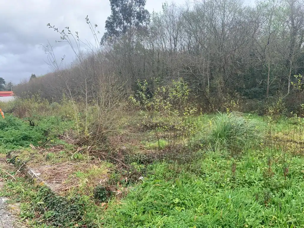 Terreni e lotti in vendita a Aldea o Baño 89, imagen 15