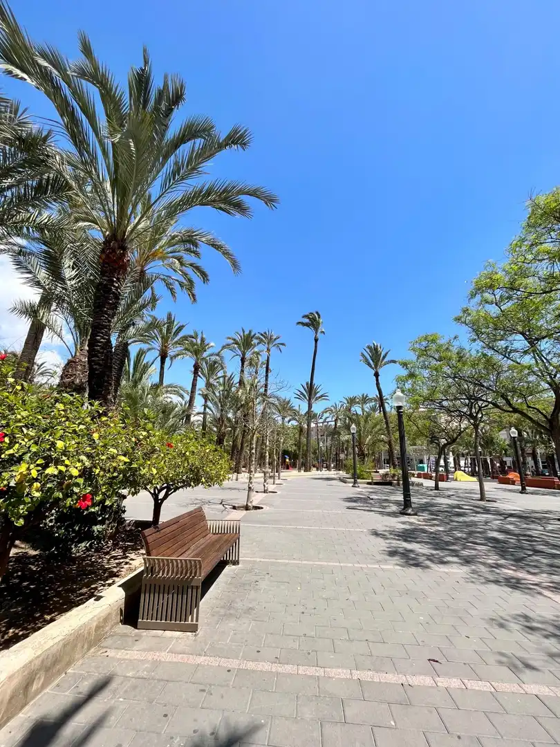 Wohnung mit Terrasse zum Verkauf in Elche ciudad, imagen 15