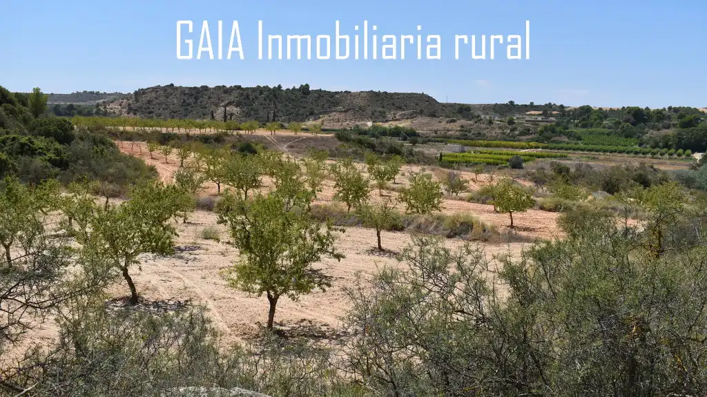 Finca rústica en venta en Caspe
