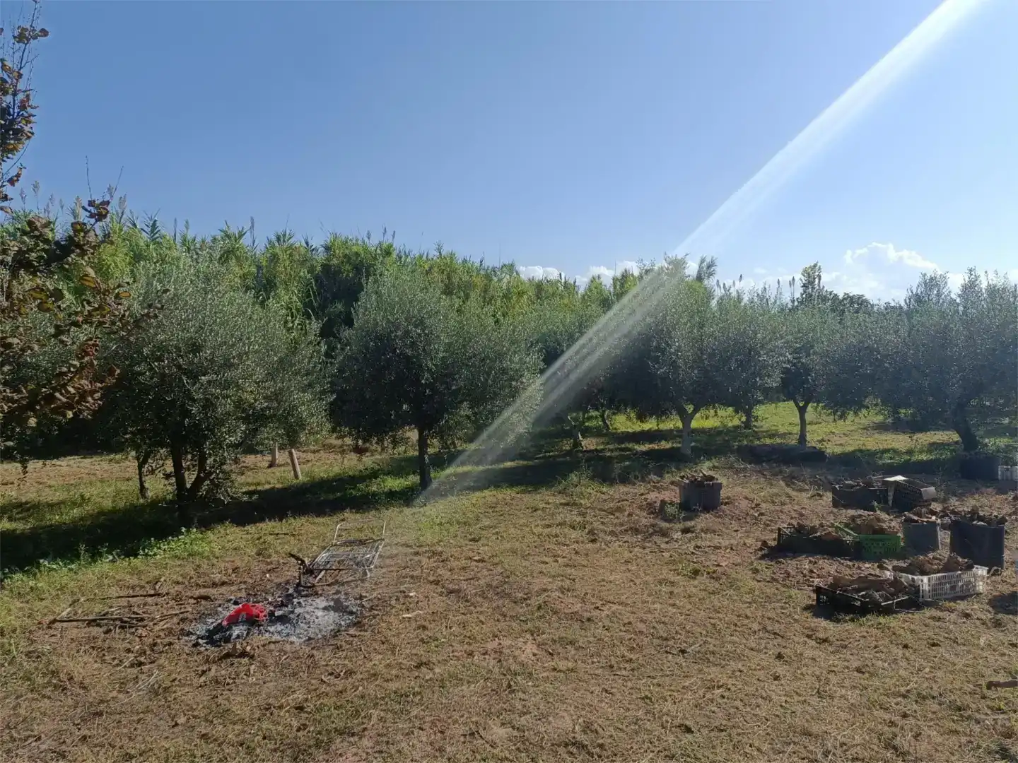 Finca rústica en venta en Les Borges Blanques con Aire acondicionado y Piscina