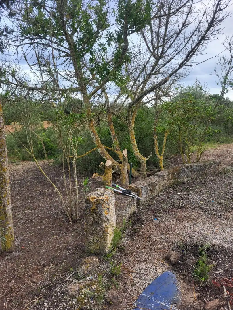 Terreno en venta en Llevant