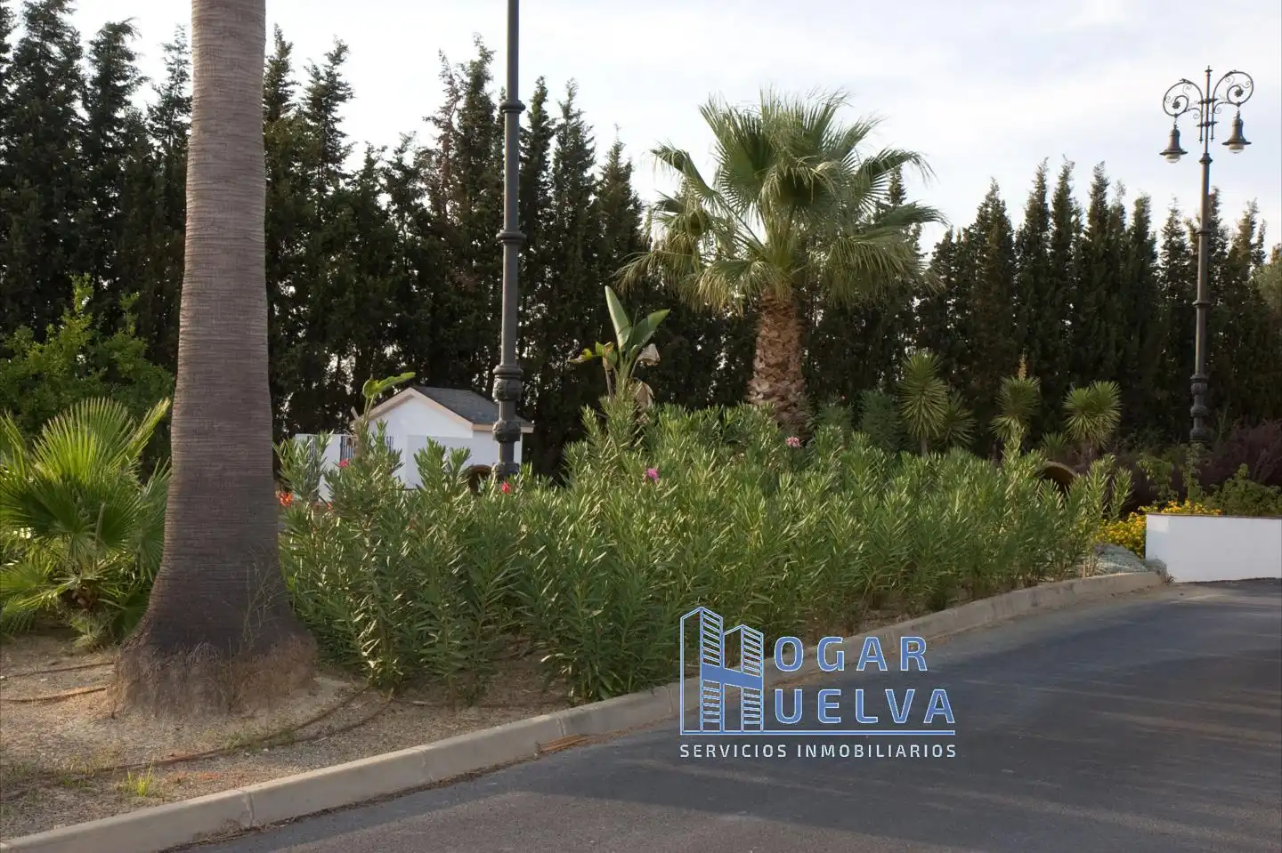 House with pool for sale in Finca El Acebuche 35, imagen 43