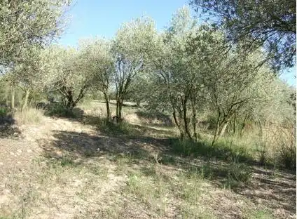 Lands and plots for sale in Lugar Can Segarra, imagen 7