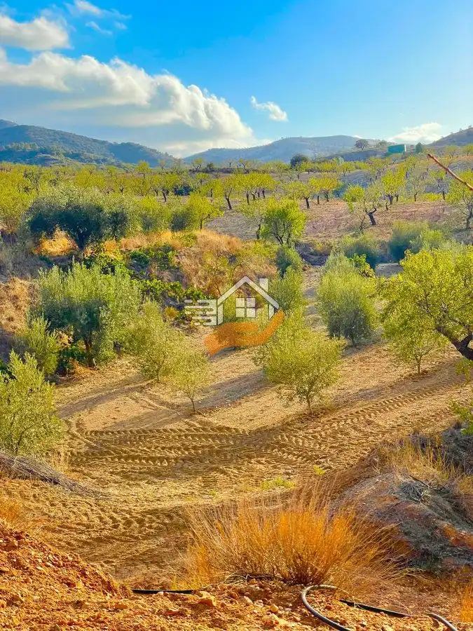 Residential land for sale in Vélez-Rubio, imagen 6