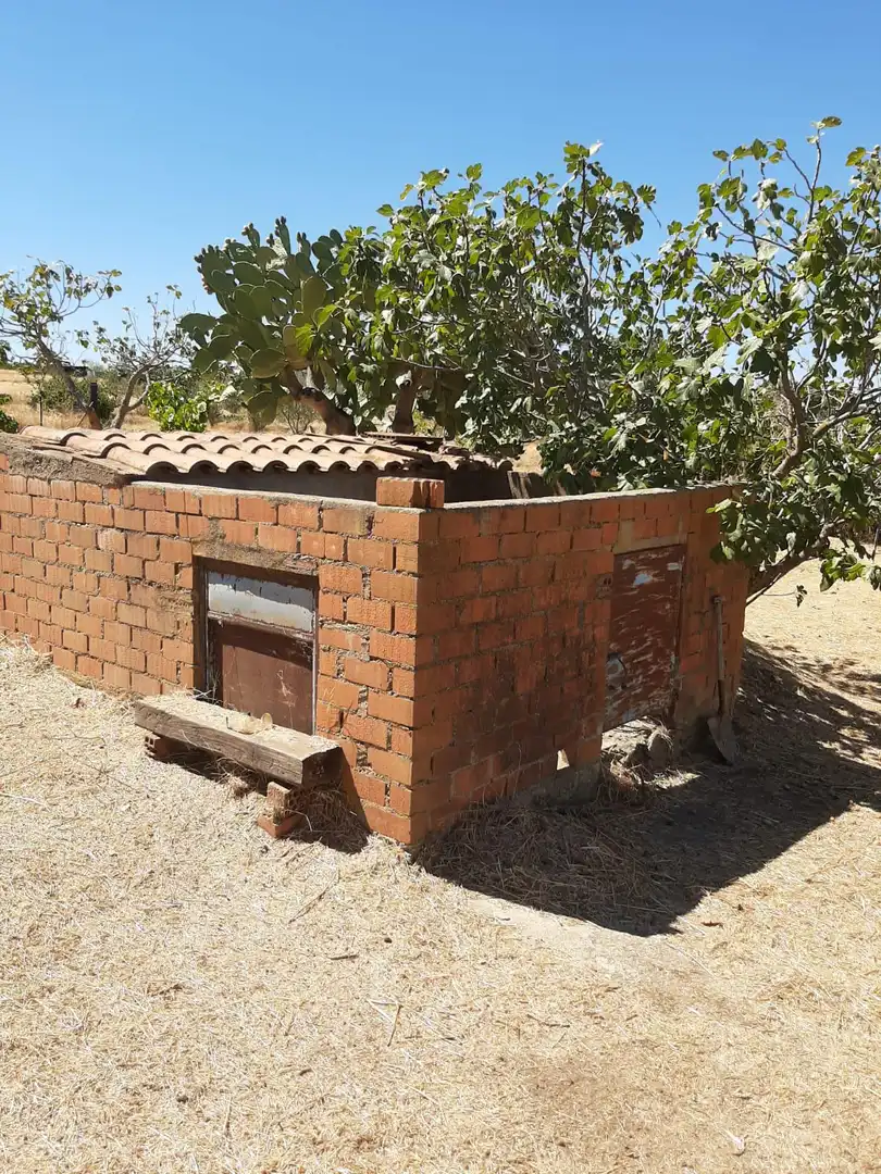 Finca rústica en venta en Jerte