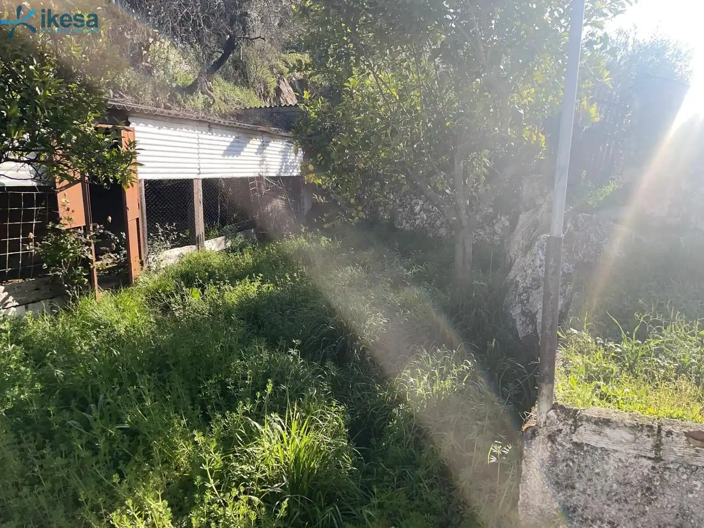 Casa adosada en venta en Constantina