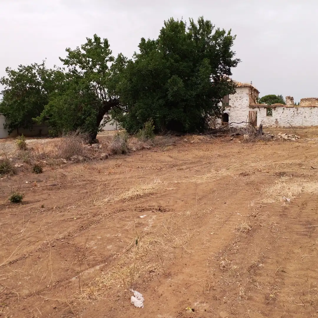 Xalet en venda a Torreperogil