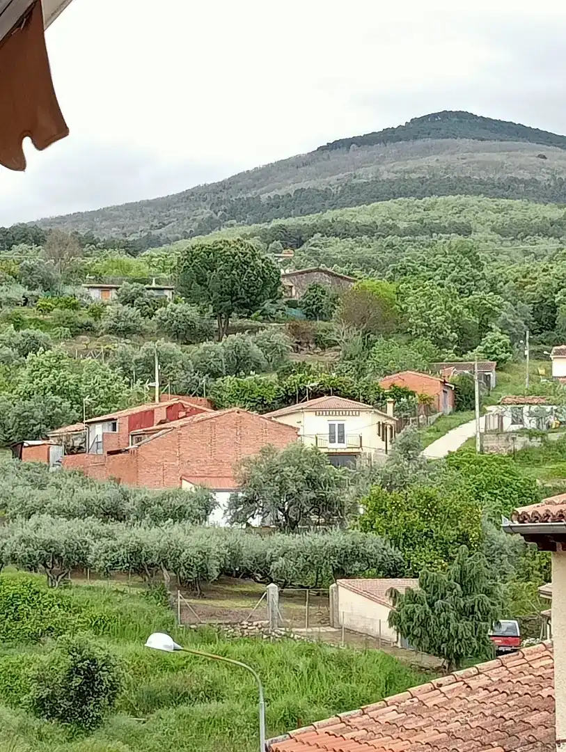 Vista exterior de Dúplex de lloguer en Candeleda amb Aire condicionat, Moblat i Forn