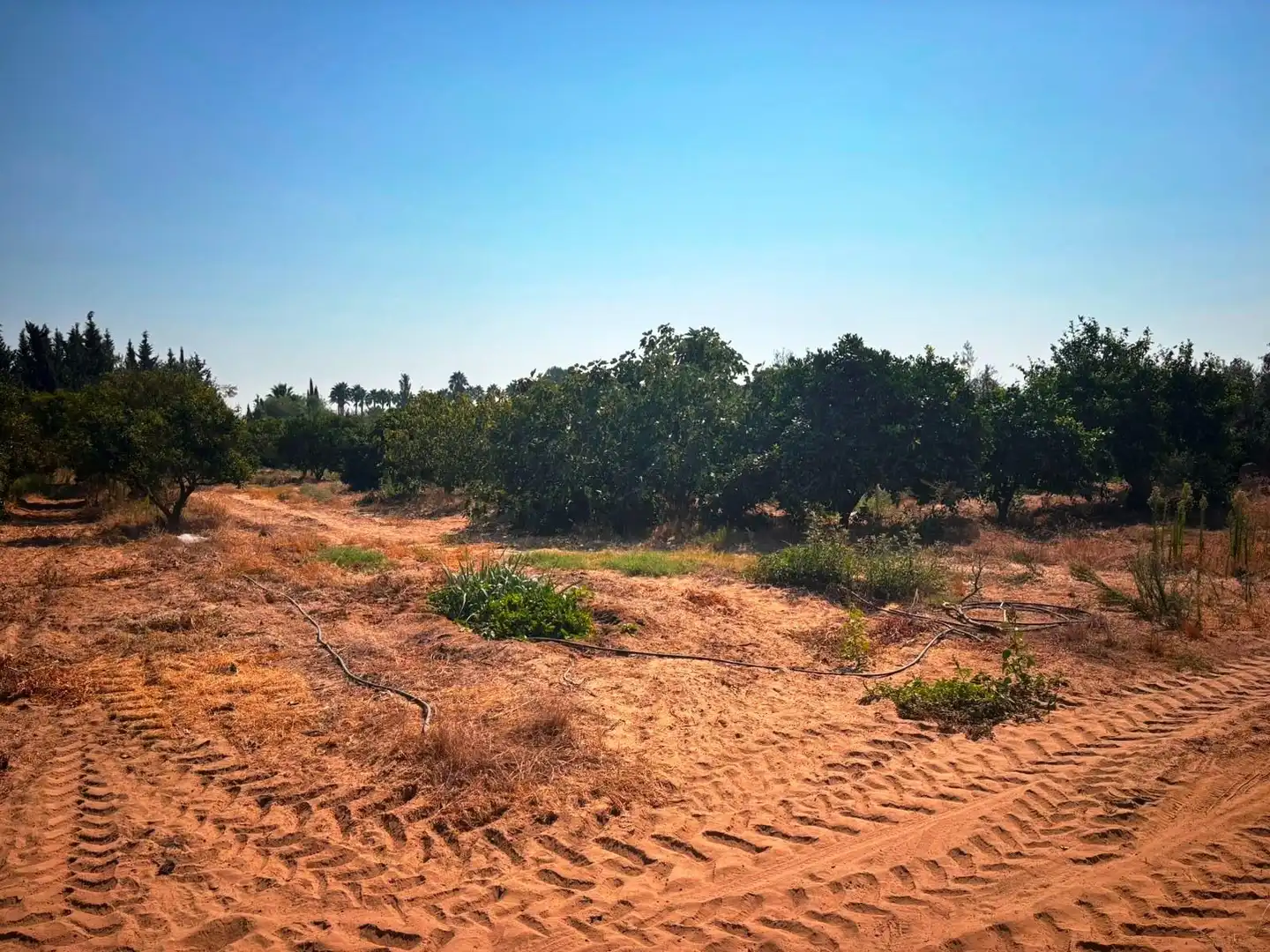 Finca rústica en venda en Huévar del Aljarafe amb Jardí privat, Traster i Piscina