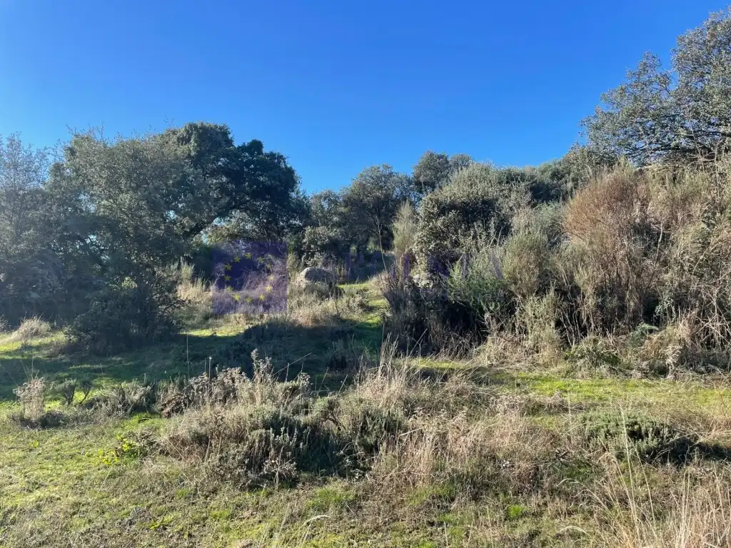 Casa en venda a Miajadas, imagen 9