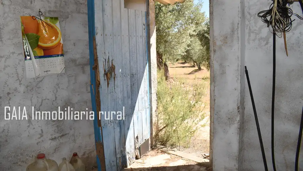 Casa rústica en venda a Maella, imagen 6