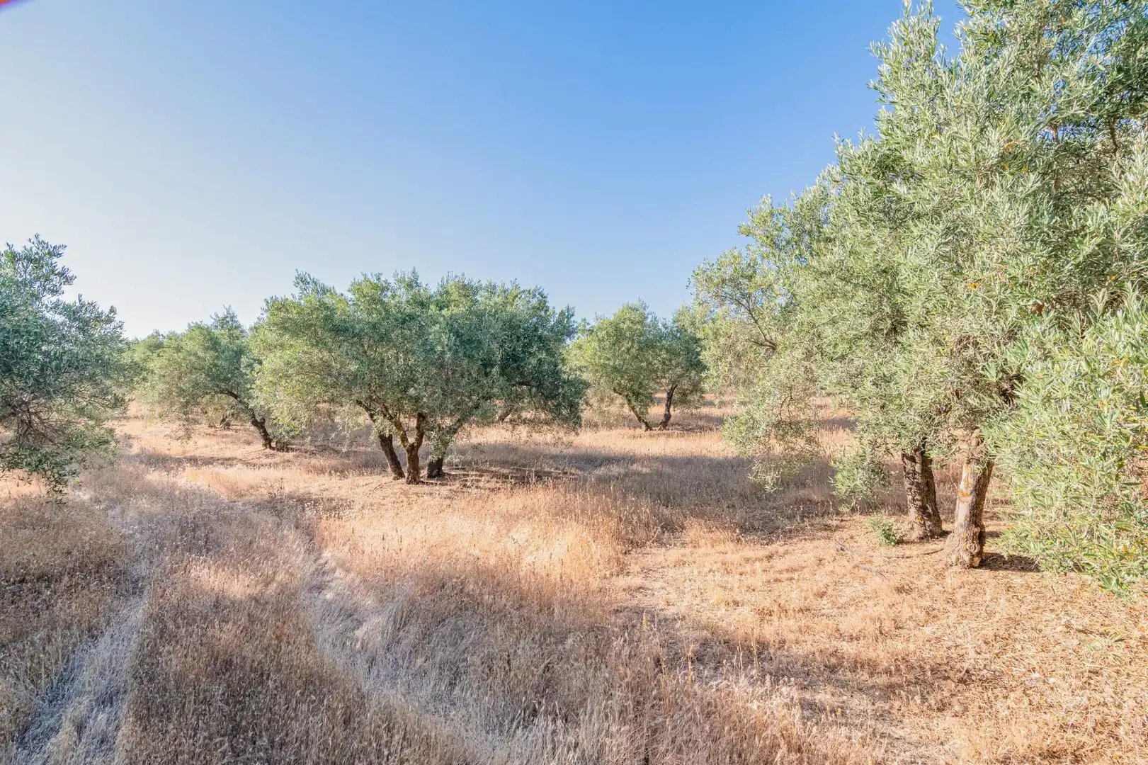 Apartments for sale in Santa Fe