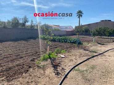 Terrenos y solares en venta en Belmez