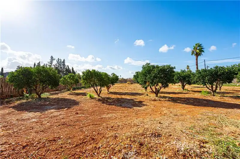 Terreny rústic de lloguer a Santa María del Camí