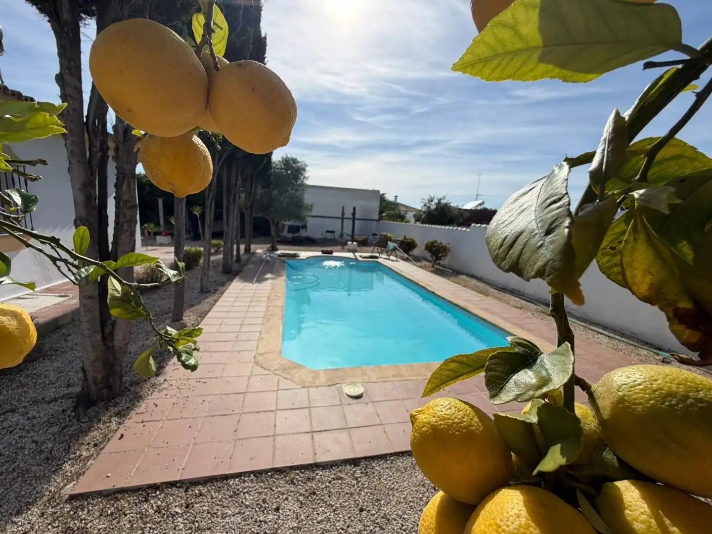 Swimming pool of Houses for sale in Chiclana de la Frontera  with Private garden, Terrace and Storage room