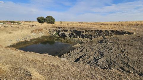 Photo 4 of Land for sale in Cpqw+w5 Sierra de Fuentes, Spain, -1, Sierra de Fuentes, Cáceres