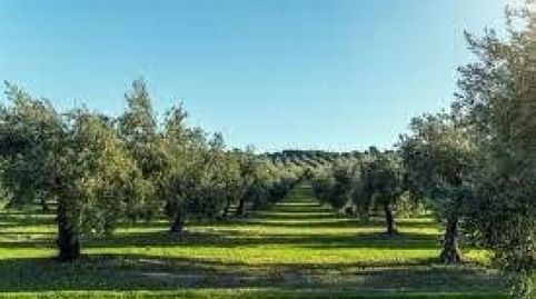 Immagine 2 dell'annuncio