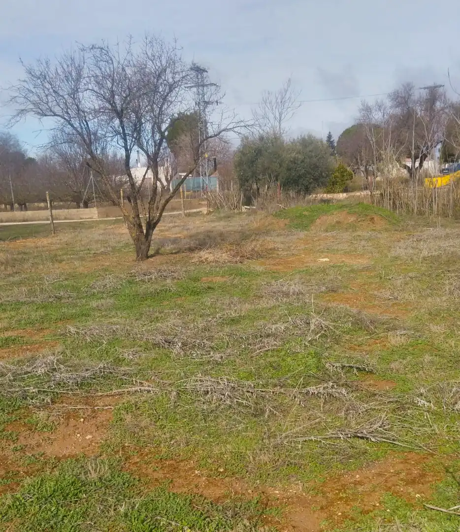 Houses for sale in Albacete  with Private garden
