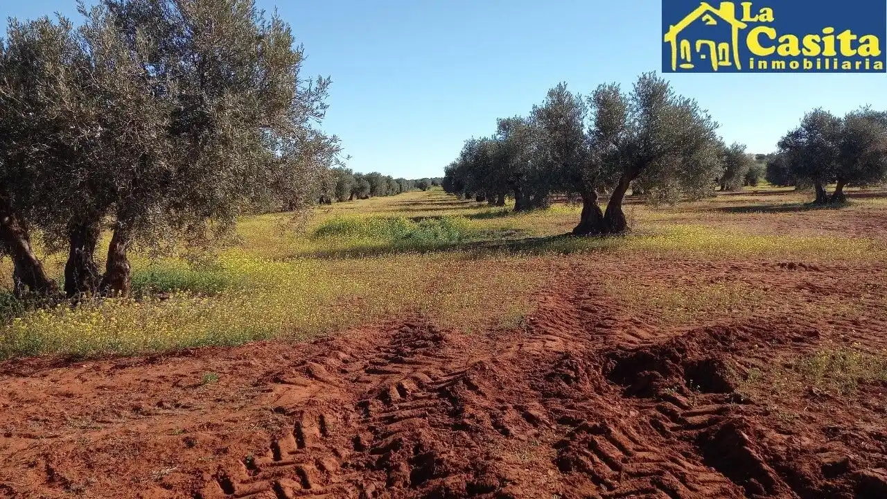 Terrenys i solars en venda a Almagro, imagen 2