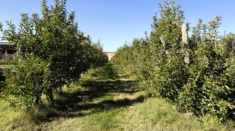 Foto 5 de Casa o xalet en venda a Nou, Bellpuig, Lleida