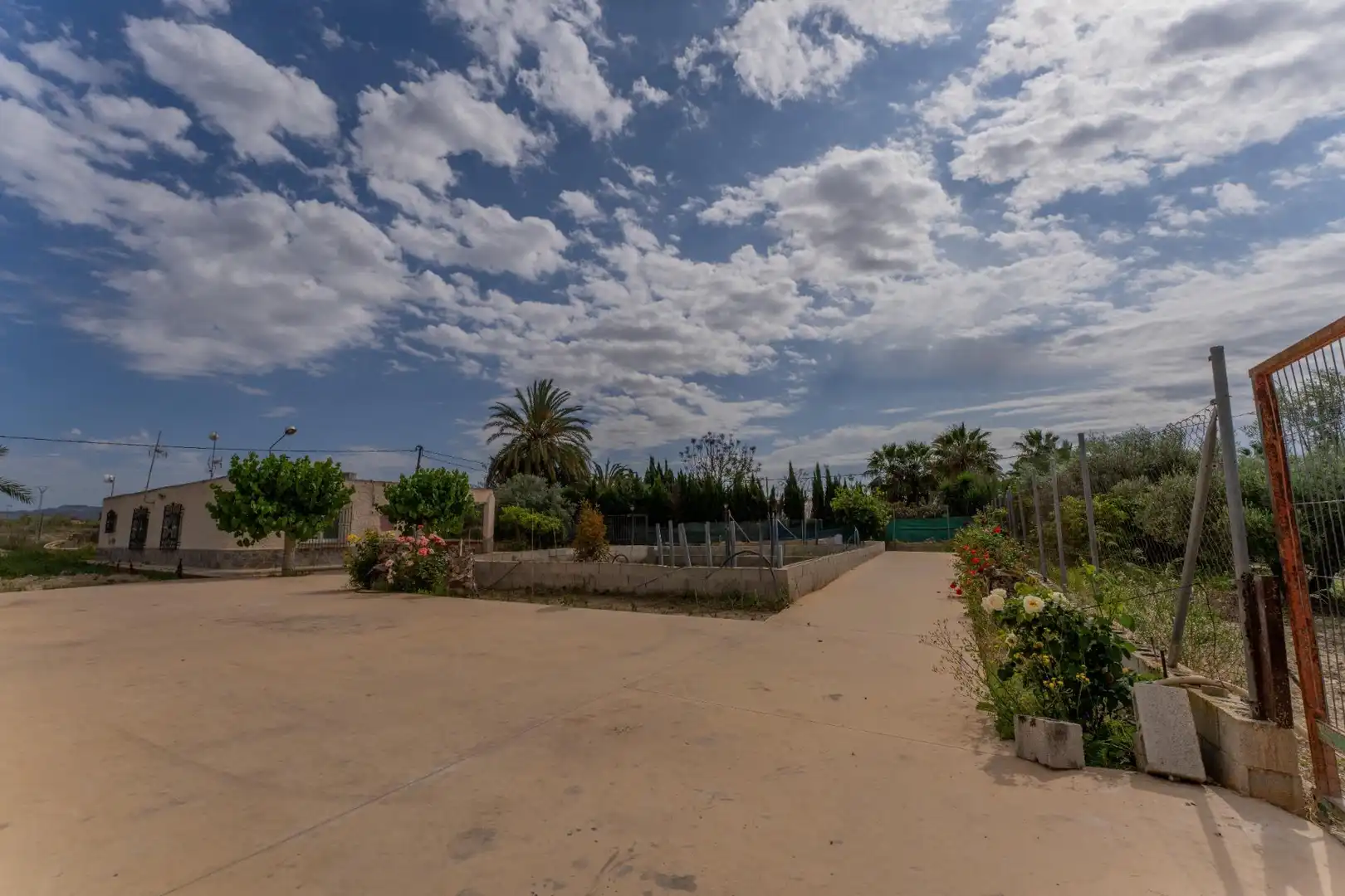 Jardí de Casa o xalet en venda en Crevillent amb Piscina