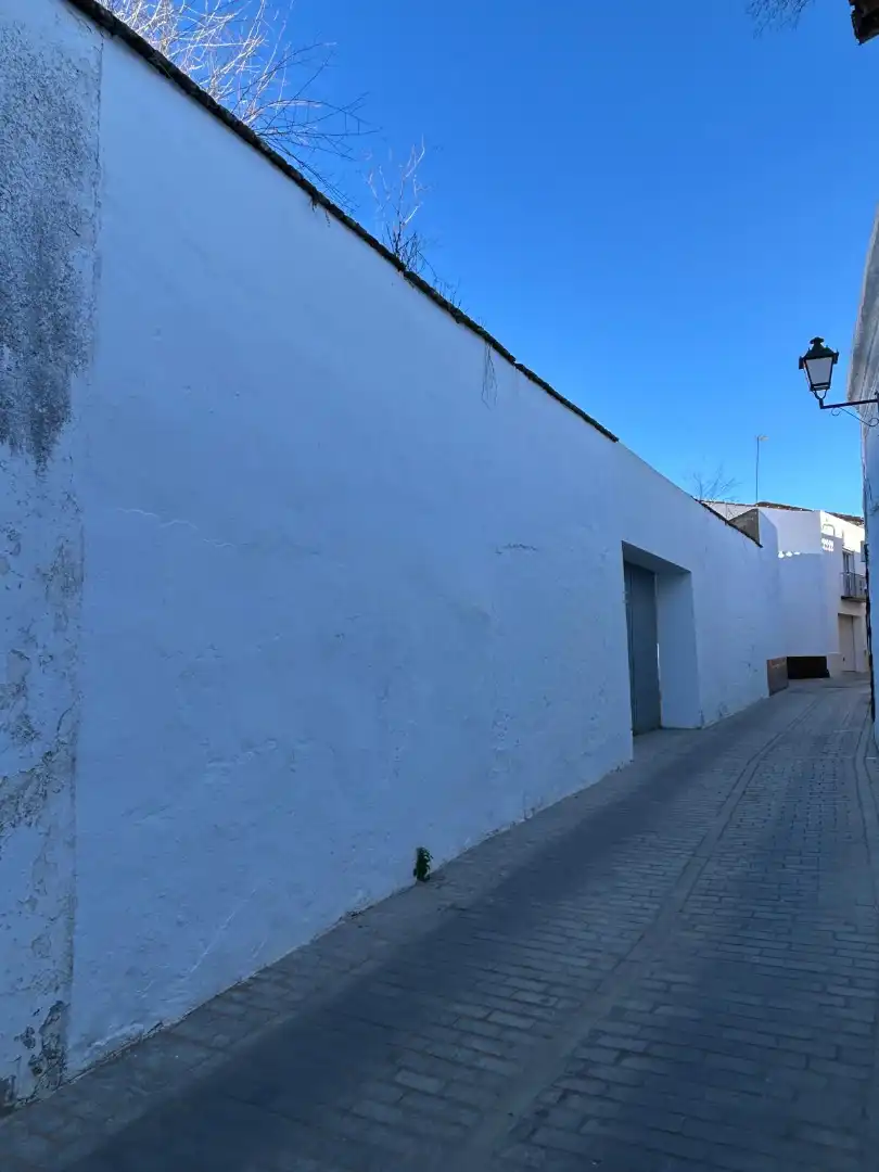 Finca rústica en venda a Calle Médico Terrón, 21, Barcarrota